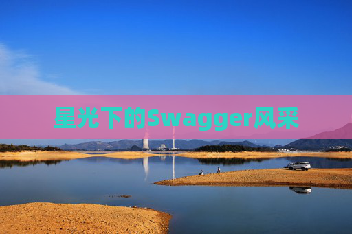星光下的Swagger风采
